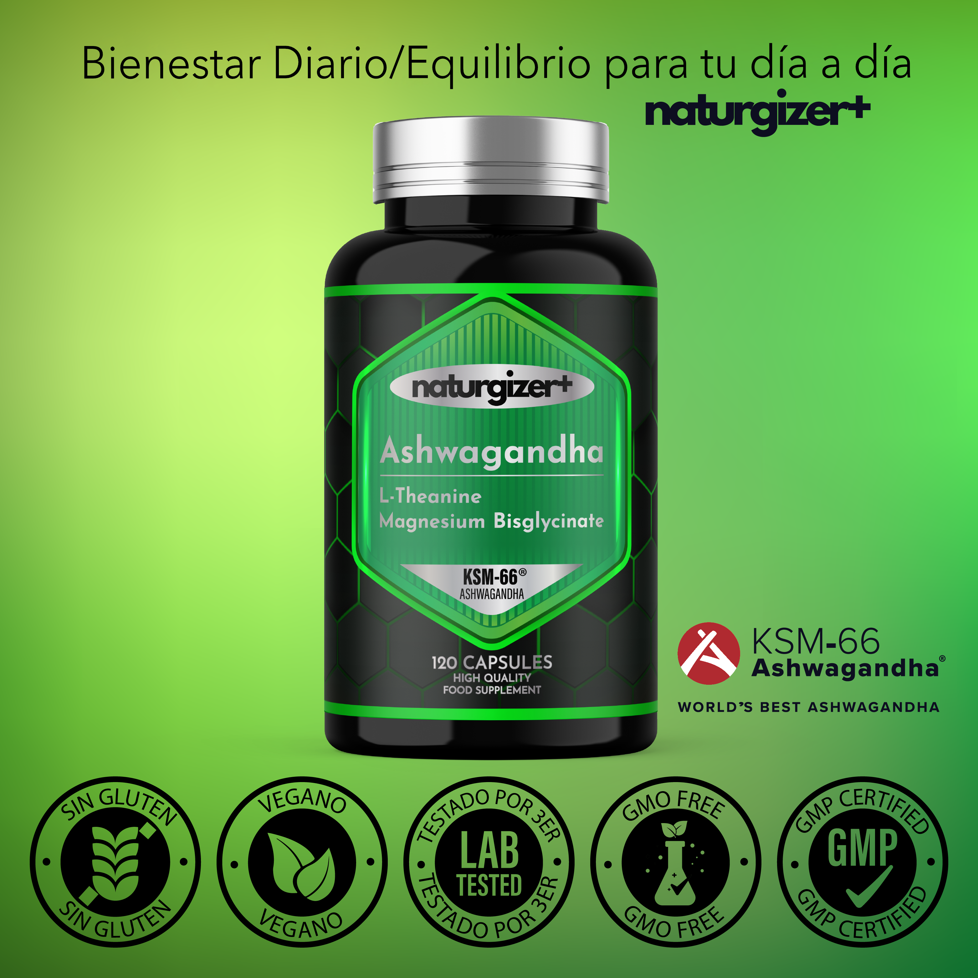 Ashwagandha KSM-66®, L-Theanine, Magnesium Bisglycinate