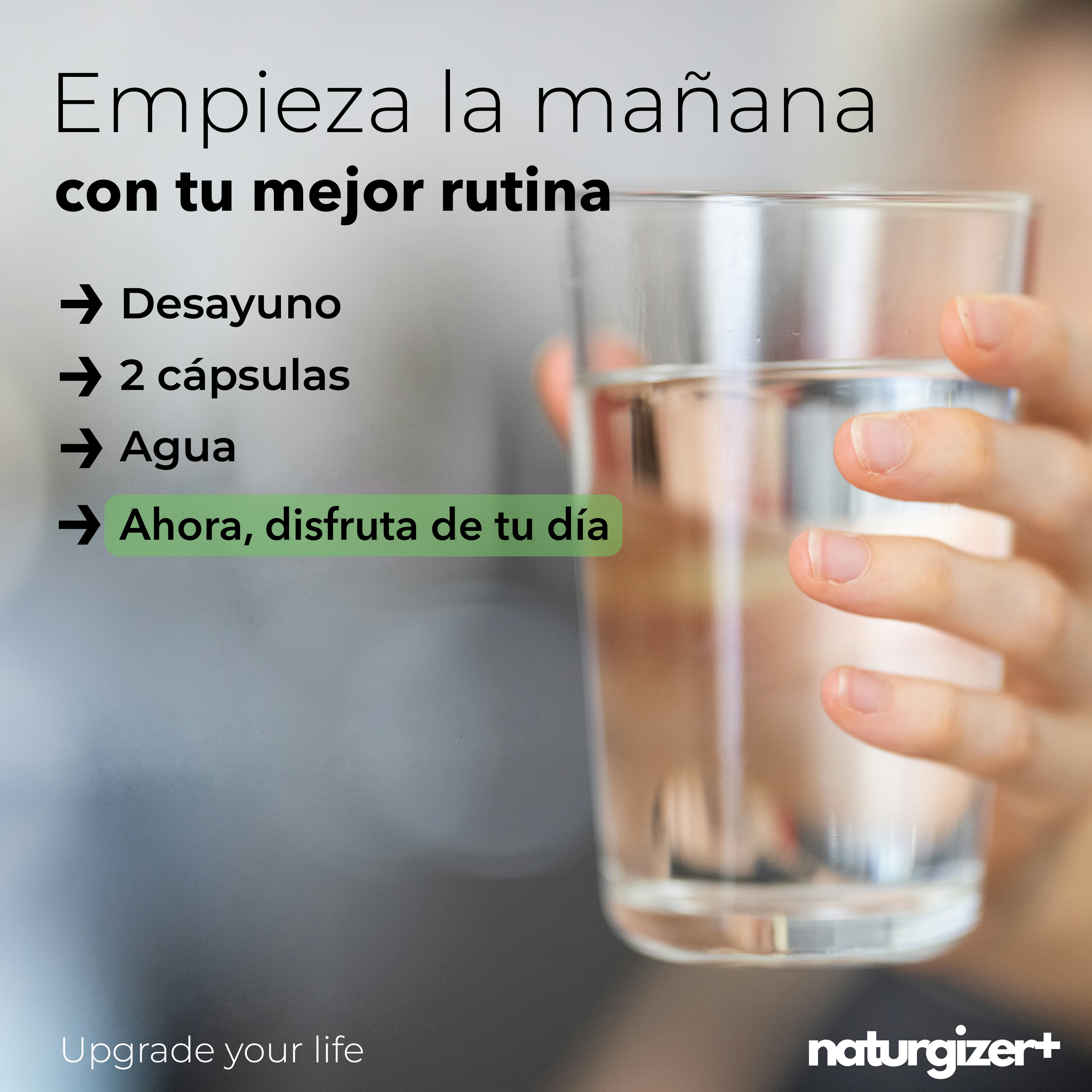 Ashwagandha KSM-66®, L-Theanine, Magnesium Bisglycinate