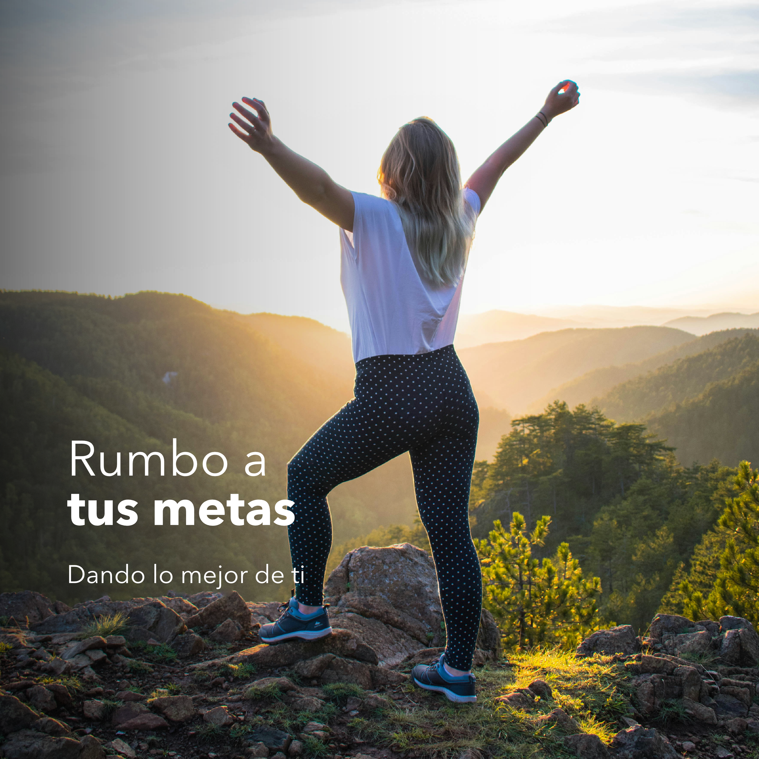 Ashwagandha KSM-66®, L-Theanine, Magnesium Bisglycinate