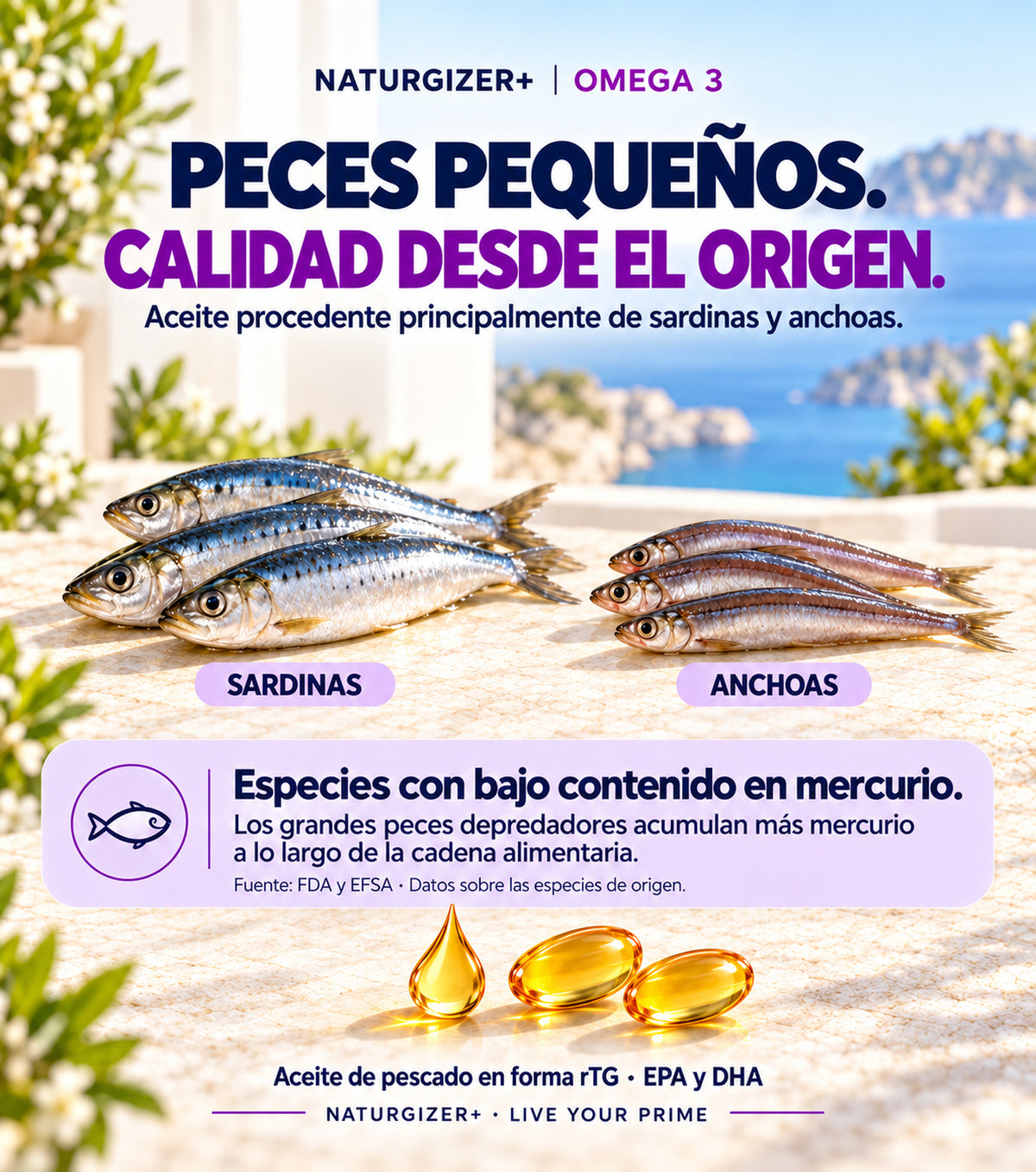 Origen del aceite de pescado: sardinas y anchoas