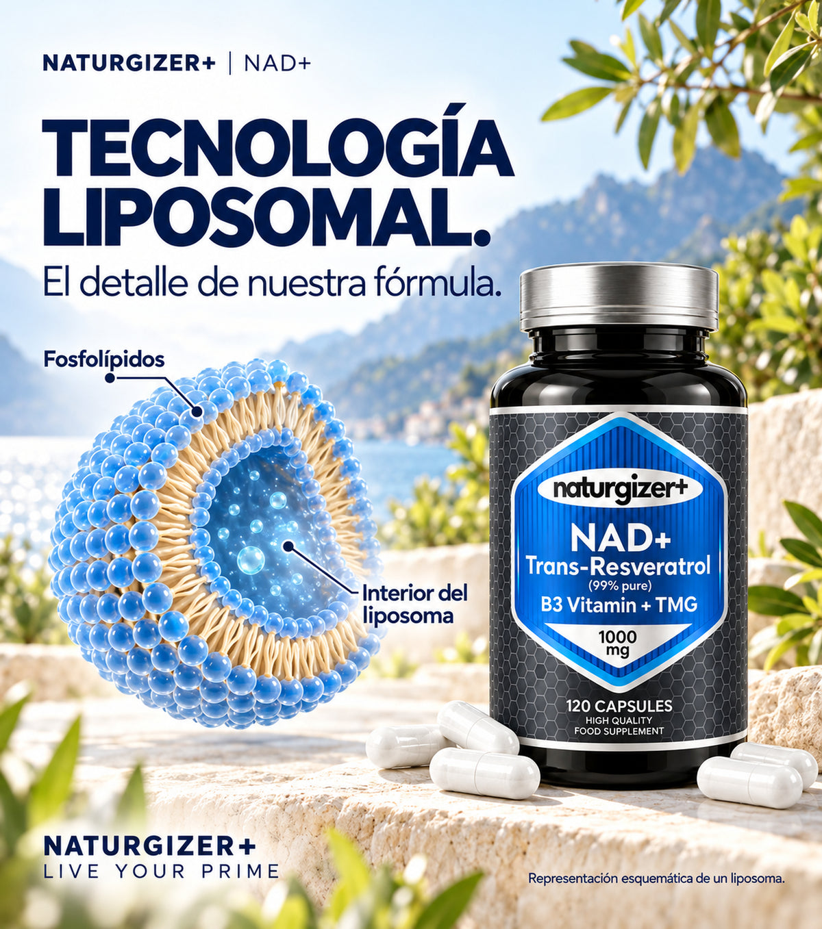 Representación de la formulación liposomal de Naturgizer+ NAD+