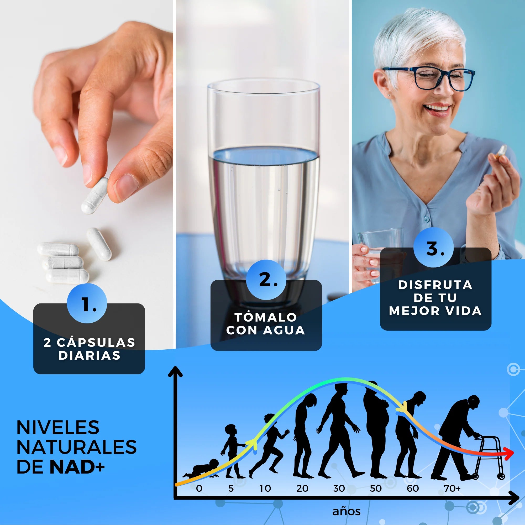 NAD+ Liposomal, Trans-Resveratrol, Vitamina B3 y TMG