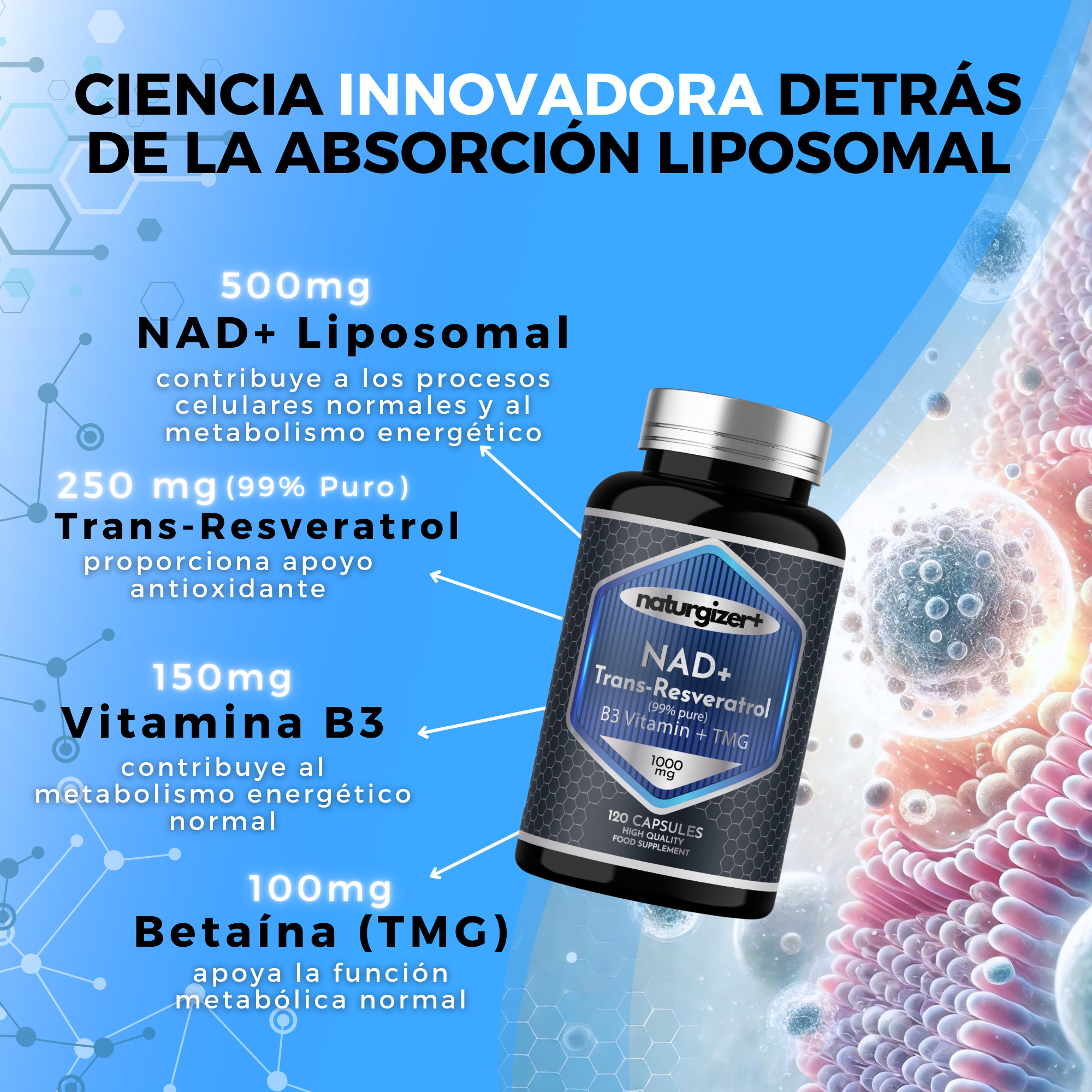 NAD+ Liposomal, Trans-Resveratrol, Vitamina B3 y TMG