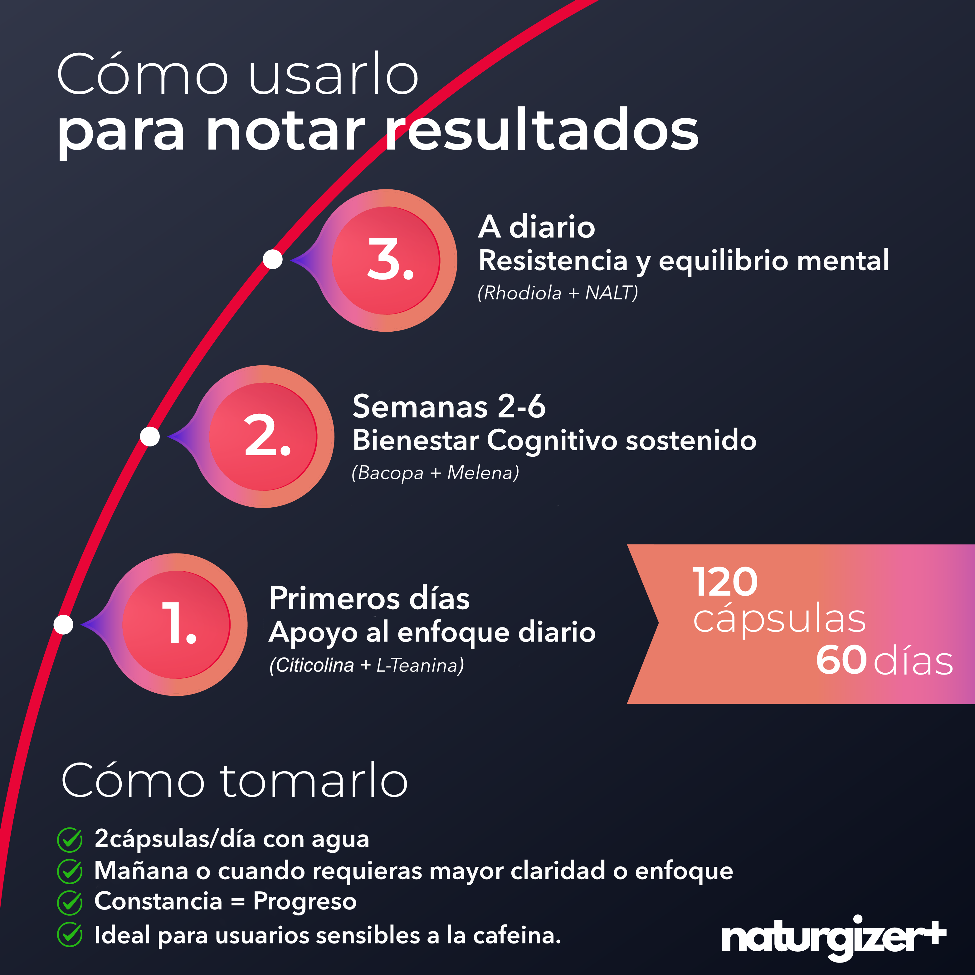 Lion´s Mane Mushroom, inspirado en las mejores fórmulas nootropicas.