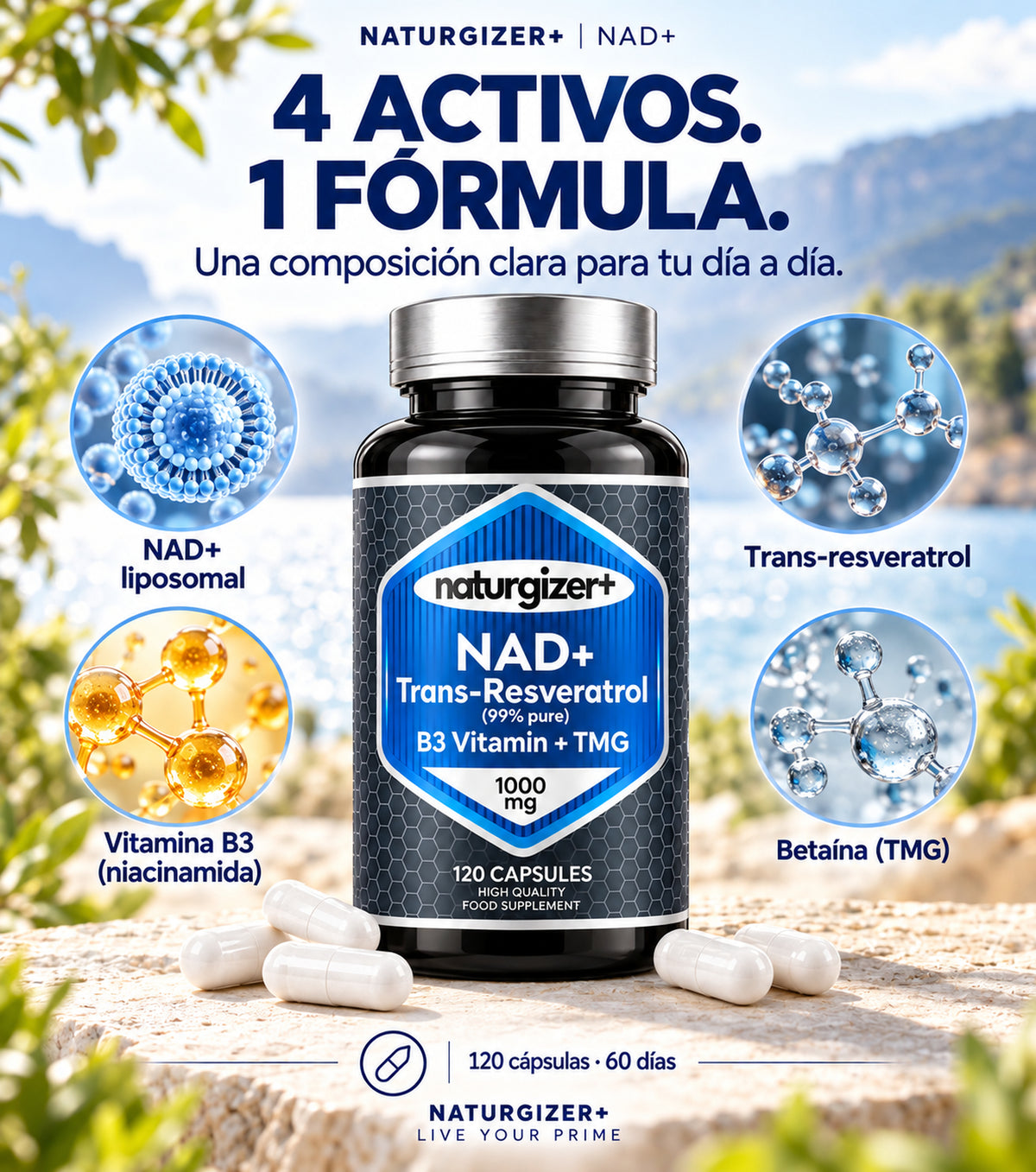 NAD+ liposomal, trans-resveratrol, vitamina B3 y betaína TMG
