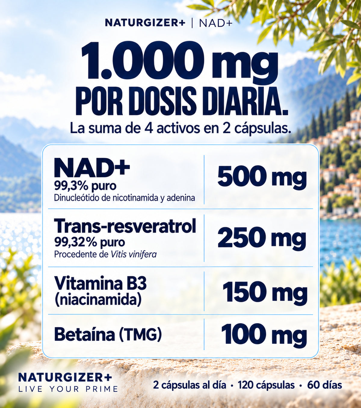 Composición de NAD+ Complex por dos cápsulas y cantidades de los cuatro activos