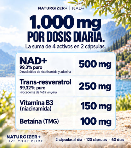 Composición de NAD+ Complex por dos cápsulas y cantidades de los cuatro activos